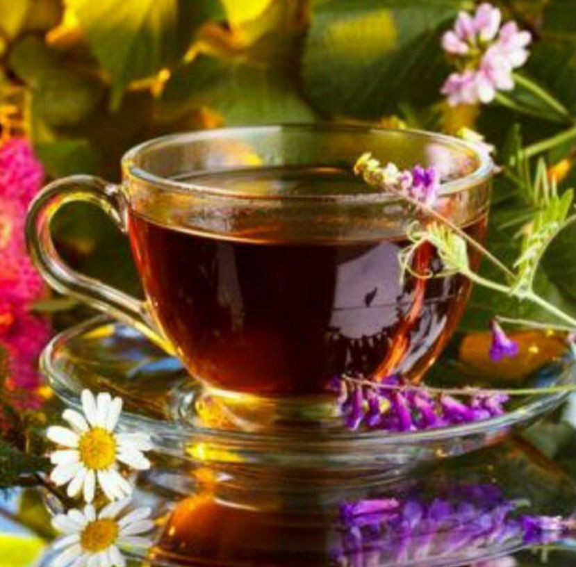 رازهای سلامتی راهی به سوی سالم و ذهن آرام دمنوش های گیاهی،سب زندگی سالم،نکات درمانی همراه من شو برای یک زندگی بهتر